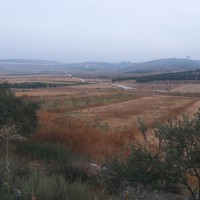 Al Kom to Beit Ula