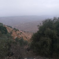 جبع الى بتير