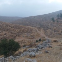 جبع الى بتير