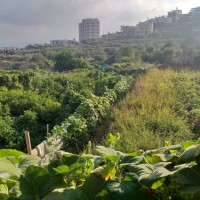 جبع الى بتير