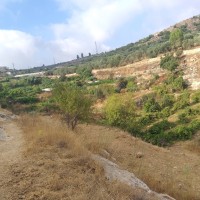 جبع الى بتير