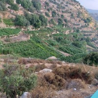 جبع الى بتير