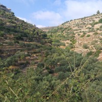 جبع الى بتير