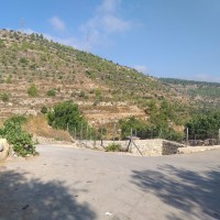 جبع الى بتير