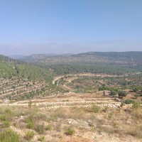 جبع الى بتير