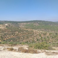 جبع الى بتير