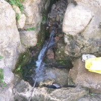 Battir to Artas