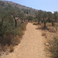 Battir to Artas
