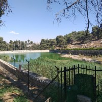Battir to Artas