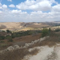 بيت مرسم الى الكوم
