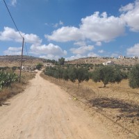 بيت مرسم الى الكوم