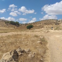 بيت مرسم الى الكوم
