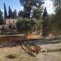 Sabastiya – Hayyat Al Reef Camp