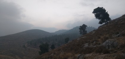 جبع الى بتير