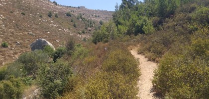 Battir to Artas