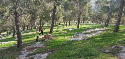 Jabal Al-Baba To Sea Level