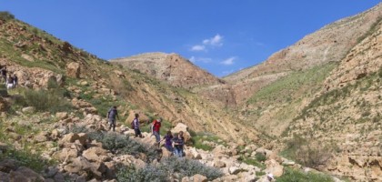 كفر مالك الى العوجا
