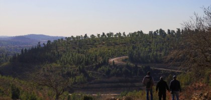 Beit Surik to Beit Duqqo